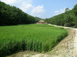 宝塚西谷の森公園01