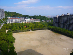 すみれガ丘中央公園02